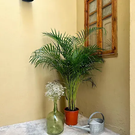Apartment El Rincon De Maria Vicenta