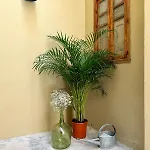 아파트 El Rincon De Maria Vicenta