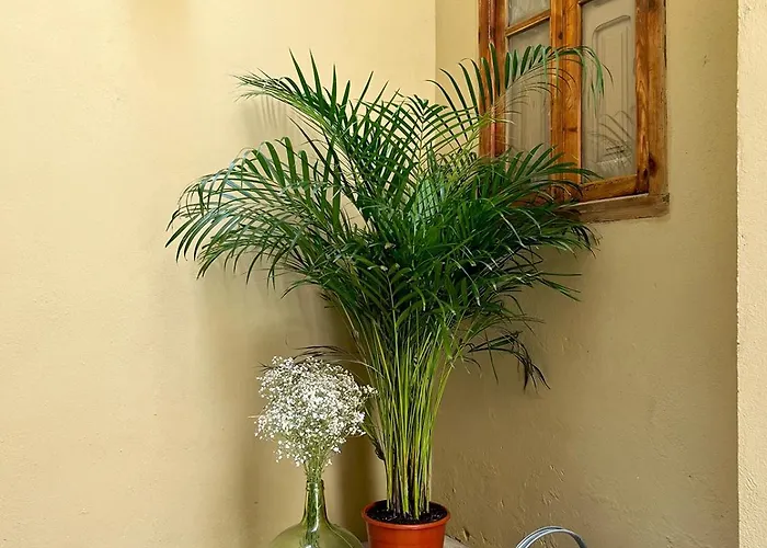 Apartamento El Rincón De María Vicenta